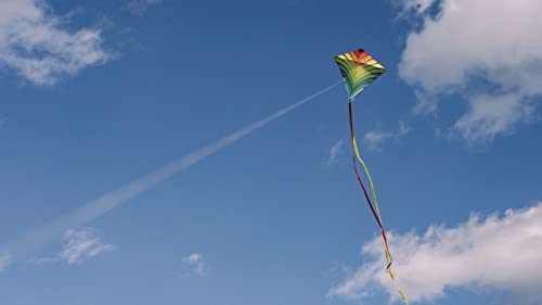 Kite Flying 2020 (Kite Game)