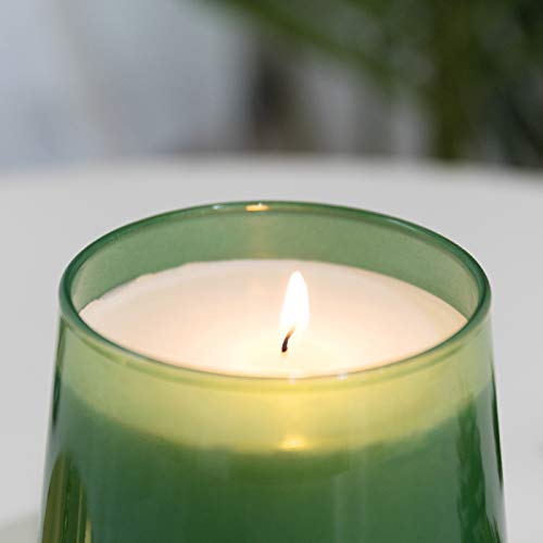 La Jolíe Muse Vela perfumada con bálsamo y Cedro, 100% Vela Natural para el hogar, 65-75 Horas de duración, Tarro de Vidrio Ovalado, 12,3 oz / 350g
