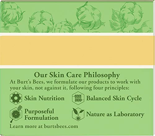 Las abejas de Burt - Crema de Noche - para piel sensible - 50g