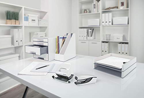 Leitz Caja de Almacenaje A3, Gama Click and Store 60450001 - Grande, Blanco