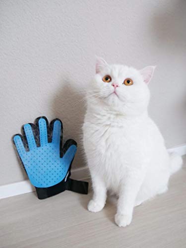 LÖWENKÖNIG Guantes Manopla Masaje para Perros mascotas gatos, Retiro del pelo y aparato de masaje, promover la circulación de la sangre, Masaje de mascotas, Guantes para la Eliminación de Pelo Suelto