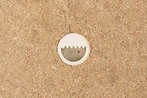 Moos Design imágenes Modernas Comprar, Imagen de Pared con Marco Blanco, Planta Foto única, Musgo imágenes (60x30 cm)