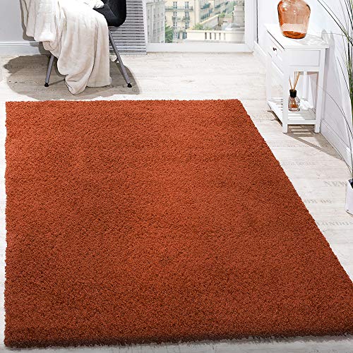 Paco Home Tappeto Shaggy a Pelo Lungo diversi Colori e misure, prezzo Top, Nuovi, imballato Originale, tamaño:160x220 cm, Color:Terracota