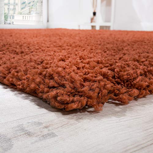 Paco Home Tappeto Shaggy a Pelo Lungo diversi Colori e misure, prezzo Top, Nuovi, imballato Originale, tamaño:160x220 cm, Color:Terracota