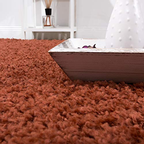 Paco Home Tappeto Shaggy a Pelo Lungo diversi Colori e misure, prezzo Top, Nuovi, imballato Originale, tamaño:160x220 cm, Color:Terracota