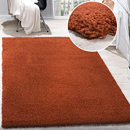 Paco Home Tappeto Shaggy a Pelo Lungo diversi Colori e misure, prezzo Top, Nuovi, imballato Originale, tamaño:160x220 cm, Color:Terracota