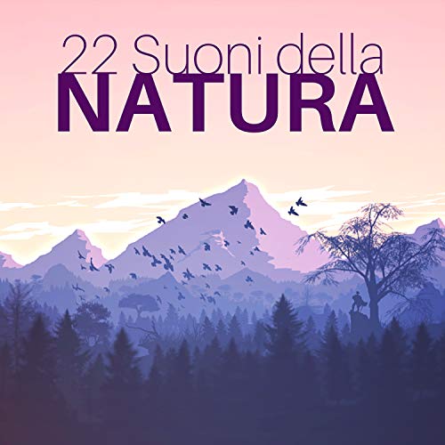 Relax Modalità Accesa