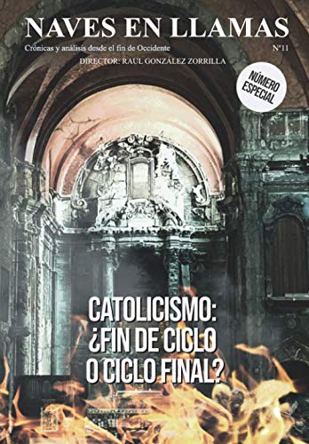 Revista Naves en Llamas Nº 11: Crónicas y análisis desde el fin de Occidente