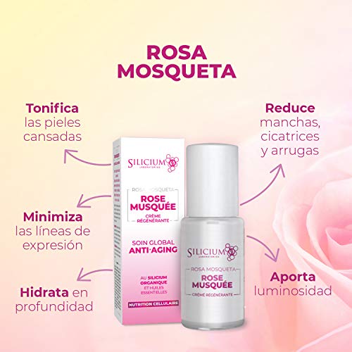 Silicium - Crema facial hidratante Rosa Mosqueta con Silicio - Efecto reafirmante - Serum concentrado para cara, cuello y escote - Vegano con Ingredientes Antiedad, Antiarrugas y Antimanchas.