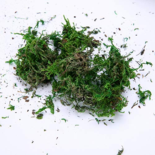 SUPVOX 1 Paquete de Musgo Artificial Musgo Falso Decorativo Realista Plantas Verdes Plantas Artificiales Musgo fause para decoración jardín