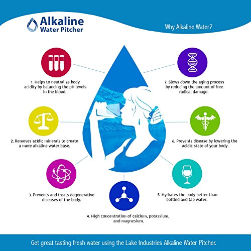 The Alkaline Water Pitcher - 2.5 Liters by Lake Industries