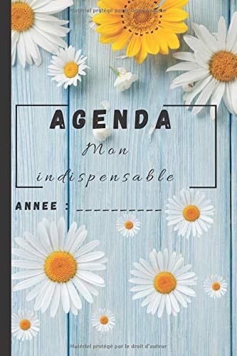AGENDA Mon Indispensable: L'Agenda "Tout-en-un" à personnaliser : RDV, SUIVI DE BUDGET, ORGANISATION DES REPAS, RECETTES DE CUISINE, SORTIES, LISTES ... pages | Couverture souple | 15,24/22,86 cm