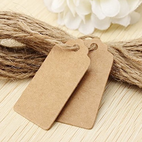Anpro 120 Piezas Etiquetas de Papel Kraft Etiquetas de Equipaje Etiquetas de regalo Etiquetas de Papel de Boda con 30 Metros Cordel de Yute