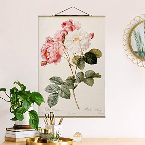 Bilderwelten Imagen de Tela Pierre Joseph Redoute - Damascene Rose - Alto 3:2 53.5x35cm Roble