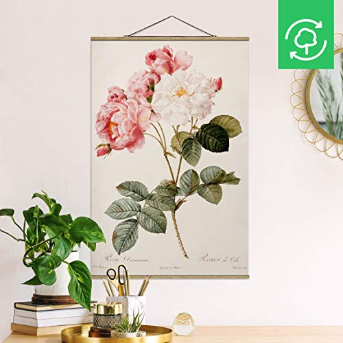 Bilderwelten Kakemono Art Pierre Joseph Redoute Damascene Rose 52.5x35cm Roble