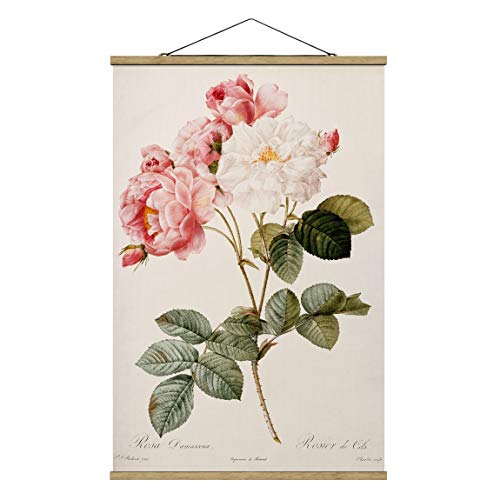Bilderwelten Kakemono Art Pierre Joseph Redoute Damascene Rose 52.5x35cm Roble