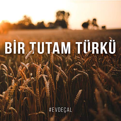 Çalın Davulları (Akustik Selanik Türküsü) (Akustik Selanik Türküs)