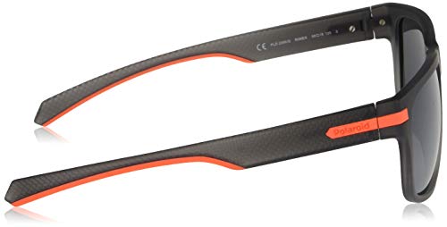 GAFAS DE SOL POLAROID PLD2066/S RIWEX