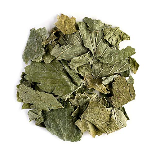 Grosella negra orgánica infusión hojas - Ideal con postres - Ribes nigrum - Recién recolectada del grosellero 100g