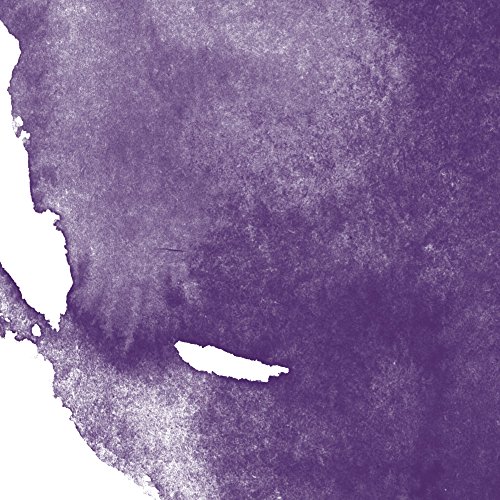 Jacquard Tintas con Alcohol de Colores, Passion Purple, 1/2 oz