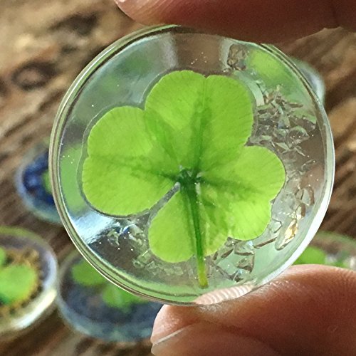 KIN-HEBI Trébol de Cuatro Hojas Real, símbolo de Bolsillo de Buena Suerte, conservado, 3.2 cm (Incluyendo Crystal Quartz)