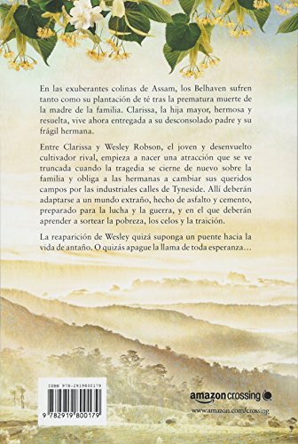 Las luces de Assam (Aromas de té)