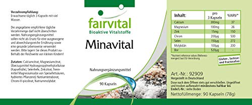 Minavital - VEGANO - Dosis elevada - 90 Cápsulas - multimineral con minerales esenciales y oligoelementos - Calidad Alemana