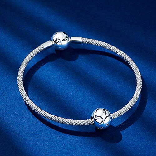NINGAN Géminis Encantos del Cumpleaños de 12 Signos del Zodiaco - Encantos de Plata Esterlina de 925 Ajustan Pulsera & Collar - Regalos de cumpleaños Ideales para Mujeres y Amigos