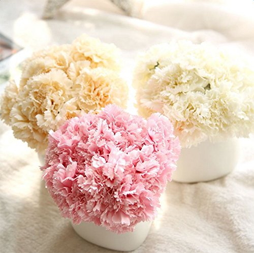 Outflower 6 PCS Artificial Falso Clavel de Flores Decoraciones para el Hogar Flor de la Boda Regalo Creativo del día de la Madre（Rojo）