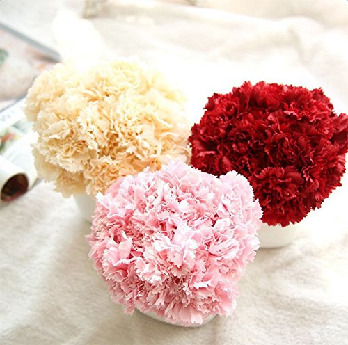 Outflower 6 PCS Artificial Falso Clavel de Flores Decoraciones para el Hogar Flor de la Boda Regalo Creativo del día de la Madre（Rojo）