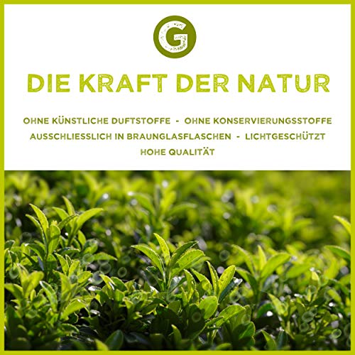 Salvia aceite – 100% naturreines, aceite esencial (10ML) de greenstyle