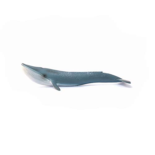 Schleich- Ballena Figura, Color azul, blanco (14806)