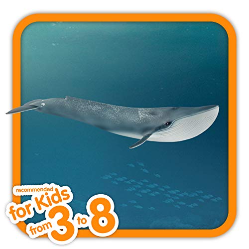 Schleich- Ballena Figura, Color azul, blanco (14806)
