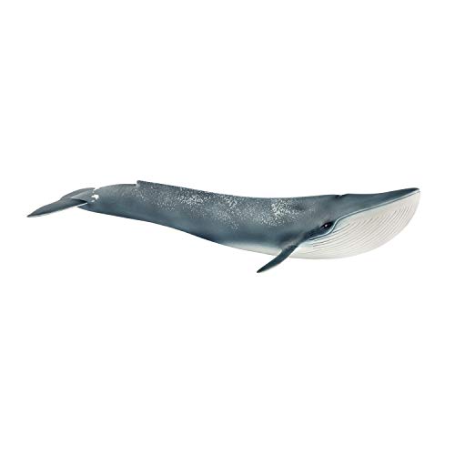Schleich- Ballena Figura, Color azul, blanco (14806)