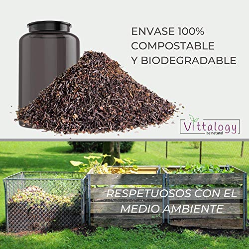 Vittalogy Multivit Premium. Multivitaminas Con Sales Minerales y Probióticos. Combate El Cansancio Y Aumenta Las Defensas. Hombre Y Mujer. Mejora En El Deporte Y Estudio. 120 Cápsulas.