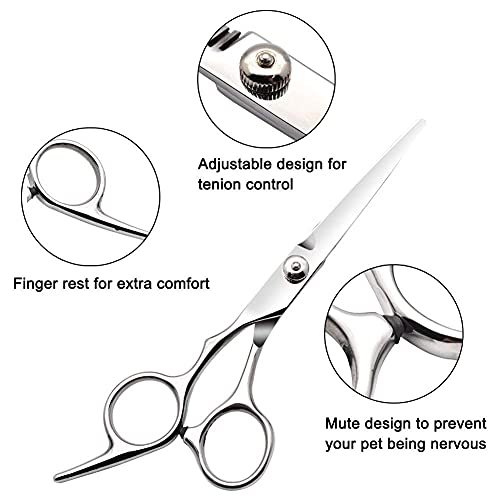 3 en 1 Kit Tijeras de Peluquería Profesional 2 piezas de Tijeras de Acero Inoxidable, Pettine