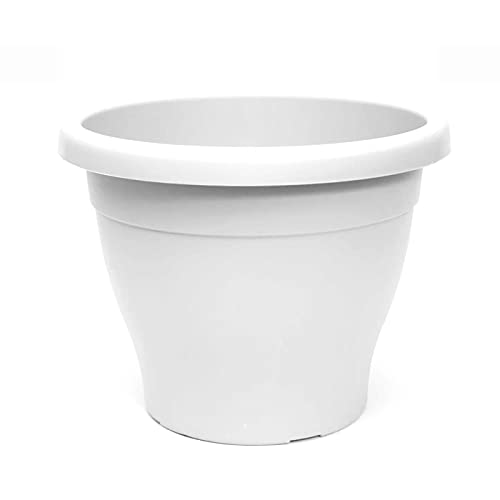 Acan Pamex - Maceta de plástico mediterránea, Color Blanco, diámetro 25 cm, macetero para jardín Exterior, terraza, balcón e Interior del hogar