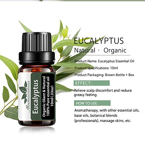 Aceite Esencial Eucalipto para Difusor,Aceite Eucalipto Orgánico para Humidificador,Aceites Esenciales Fragancia 100% Pure Mumianhua 10ml Aceite Aromaterapia Eucalipto para Hacer Velas,Jabón