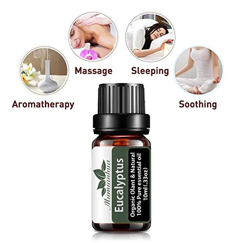 Aceite Esencial Eucalipto para Difusor,Aceite Eucalipto Orgánico para Humidificador,Aceites Esenciales Fragancia 100% Pure Mumianhua 10ml Aceite Aromaterapia Eucalipto para Hacer Velas,Jabón
