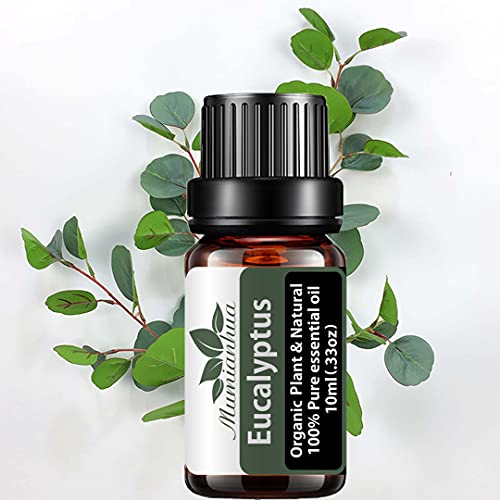 Aceite Esencial Eucalipto para Difusor,Aceite Eucalipto Orgánico para Humidificador,Aceites Esenciales Fragancia 100% Pure Mumianhua 10ml Aceite Aromaterapia Eucalipto para Hacer Velas,Jabón