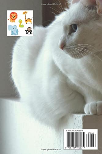 Animals drawing book