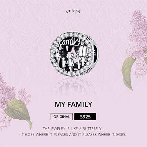 Annmors Abalorio de plata de ley 925 con texto en inglés "I Love My Family",con circonitas transparentes,para mujeres europeas,madres,hijas,pulseras y collares colgantes