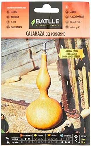 Calabaza PEREGRINO