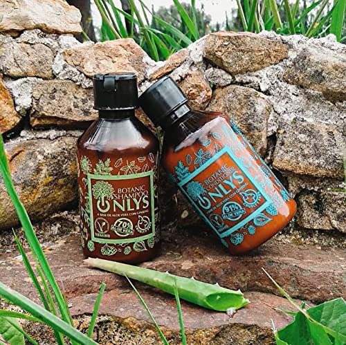 Champú Vegano de Ginseng y Sábila - Hidratante y Anti Encrespamiento - 70 % Aloe Vera - Tratamiento Profesional - Limpia en Profundidad - 250 ml - Champú sin Sulfatos sin Siliconas - Onlys Botanic