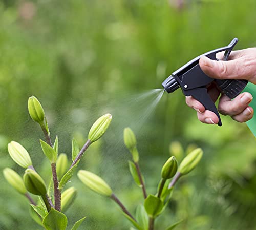 Clixde 2 pulverizadores de plantas para jardín, plantas, flores, peluquería, plástico verde con escala de medición, 1000 ml