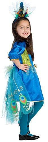 Dress Up America Disfraz de pavo real orgulloso del niño