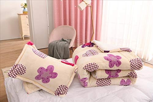 Foren Tex Manta para sofá y Cama con Borrego (M-3090) 600GMS Sin Pelusas No Suelta Pelo Tacto Suave y Cálida Dispone Varios Tamaños y Colores (Corazón, 155x220cm)