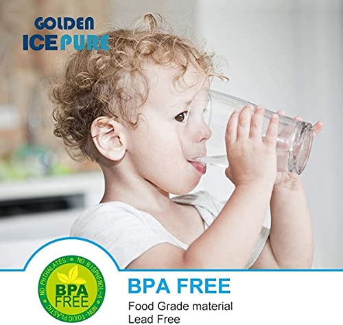 GOLDEN ICEPURE Filtro de café de repuesto para DeLonghi DLSC002, SER3017 y 5513292811 – incluye versiones de la serie ECAM, Esam, ETAM (6 unidades)