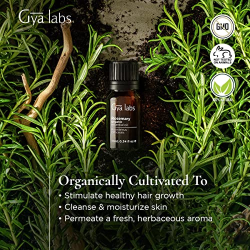 Gya Labs Aceite esencial romero orgánico para crecimiento cabello (10ml) - Aceite romero orgánico puro grado terapéutico - Perfecto para aromaterapia, piel y enfoque - Uso en difusión, piel o cabello
