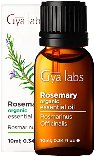 Gya Labs Aceite esencial romero orgánico para crecimiento cabello (10ml) - Aceite romero orgánico puro grado terapéutico - Perfecto para aromaterapia, piel y enfoque - Uso en difusión, piel o cabello